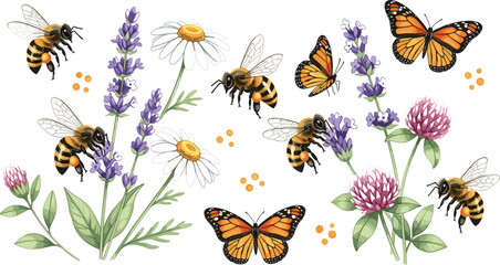 Hand drawn bees butterflies wildflowers botanical illustration set pollination nature garden elements lavender daisy clover realistic vector design collection © Mamun