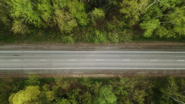 Aerial view of a straight road through green forest. Trees frame the asphalt, swaying gently. No people or animals are visible. Ideal for nature, travel, or transport themed projects