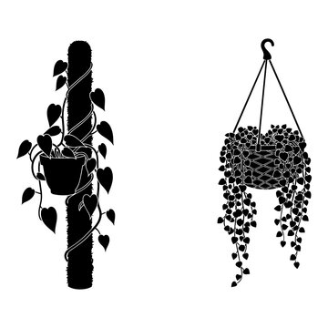 Hanging plants, black silhouette icons, heartleaf philodendron, string of pearls, indoor plants, 2 vector graphics