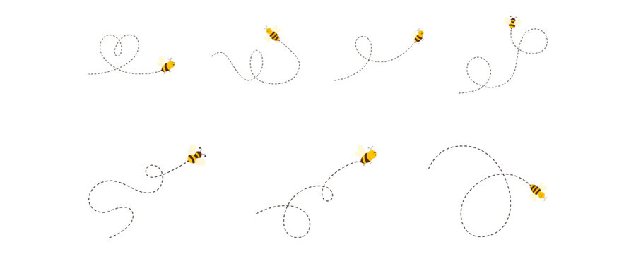 Flying bee with dashed line illustration for bee day, honey product decoration. vector isolated