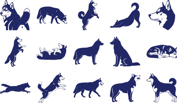 Blue Siberian Husky Dog Silhouettes white background