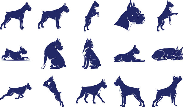 Boxer dog silhouettes in various poses isolated transparent background