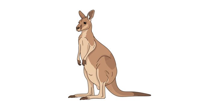 Powerful Muscle Boxing Kangaroo Mascot Vector Illustration with Fists Raised