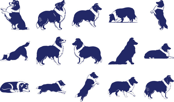 Shetland Sheepdog Silhouettes in Various Poses blue and white