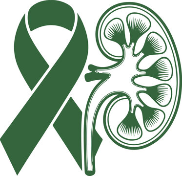 Kidney Awareness Ribbon Illustration vector