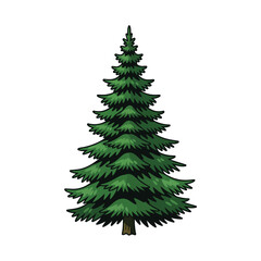 Fototapeta premium cartoon style evergreen pine tree nature graphic