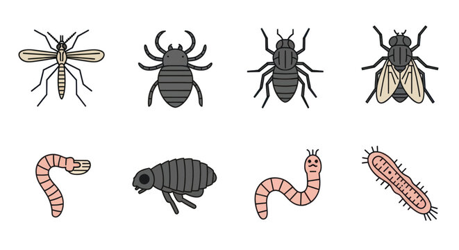 Insects and Larvae Various Species.