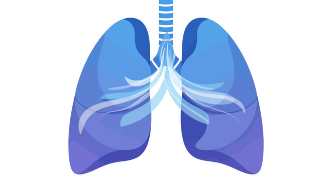 Human lungs anatomy organ illustration.