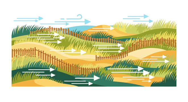 Illustration of wind erosion control with sand fences and vegetation.