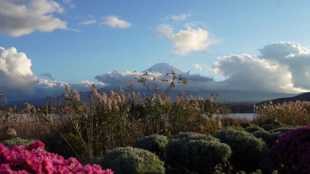 Mount Fuji Across Lake with Autumn Reeds in Japan