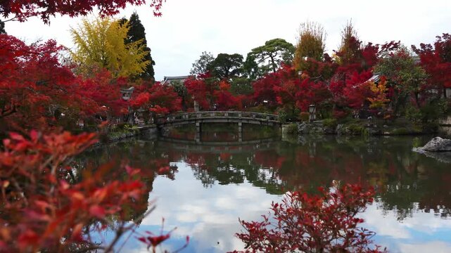Japanese garden lake with momiji autumn foliage reflection