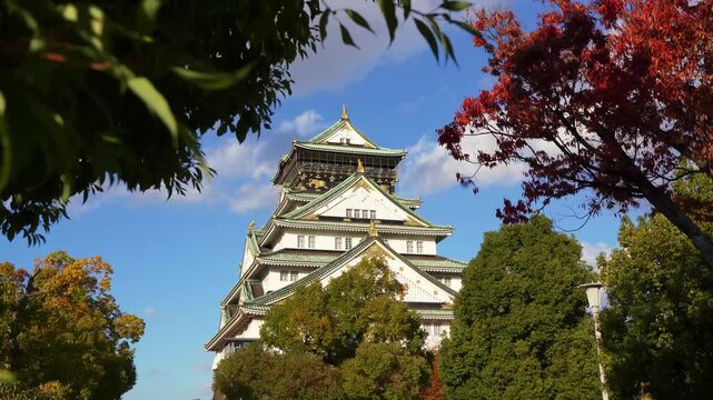 Japanese castle surrounded by trees and autumn colors