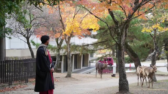 Cultural experience with deer and kimono in Japan