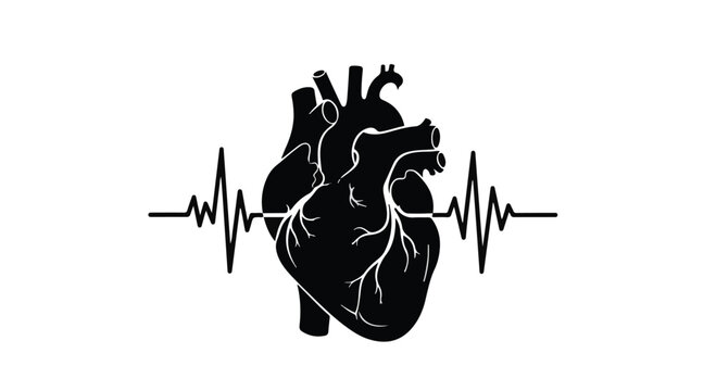 Heart silhouette combined with an electrocardiogram line represents cardiovascular health and vitality in a modern medical context that is suitable for clinical and wellness related materials.