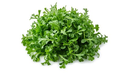 Obraz premium Arugula on a white background. A cluster of arugula. Premium image