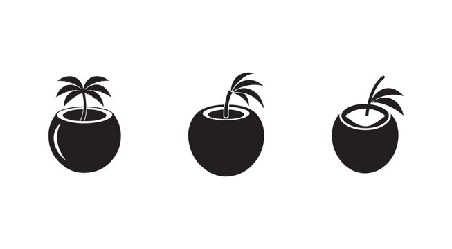 Blackandwhite palm tree in coconut shell icons  tropical symbol set  isolated on white background