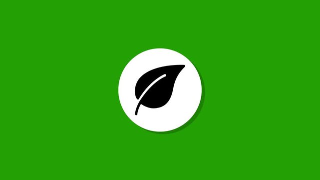 Minimalist leaf icon animation on green background representing nature and environment conservation in motion design style. Motion graphics of leif icon concept