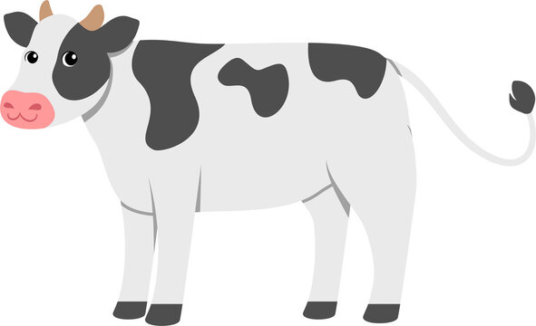 cute cow illustration