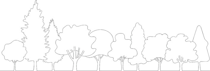 A line of various deciduous and coniferous trees in a row against a white background forest nature outline © ESIPOOS