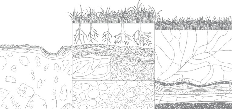 Cross section of soil layers with grass roots and geological strata