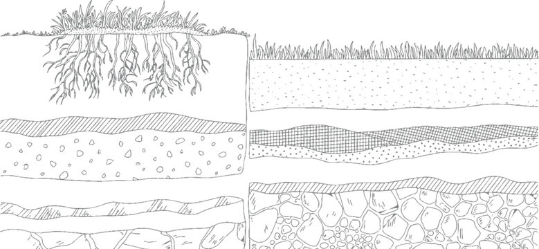 Cross section of soil layers showing grass roots and different soil textures and rock formations