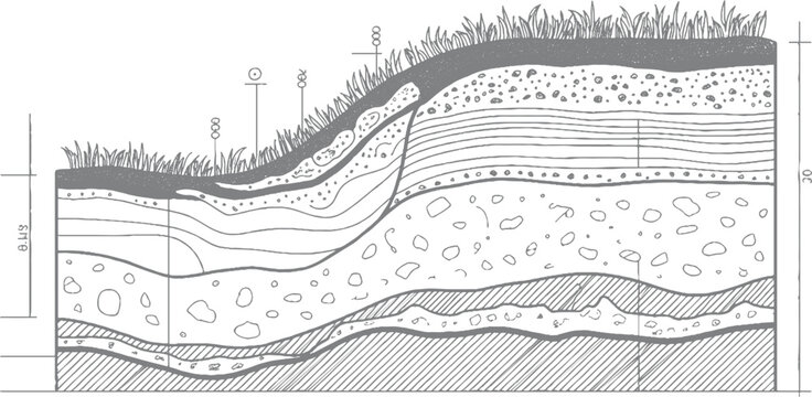 Cross section of soil layers with grass and geological strata