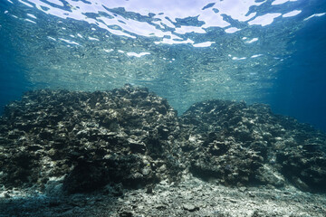 Fototapeta premium Rocky Coral Terrain Beneath Rippled Water Surface