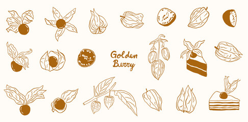 golden berry fruits hand drawn sketch doodle illustration collection set © gurlinthetri