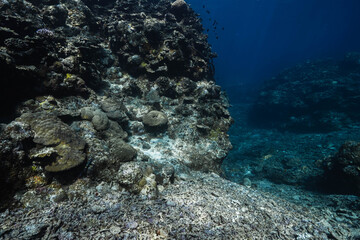 Obraz premium Clear Water Reflections Above Coastal Reef Structure