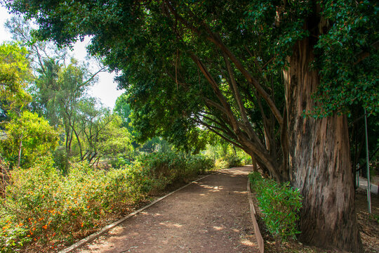 Corredor, pista de Canal Nacional, Parque Lineal Canal Nacional, Ciudad de M&eacute;xico, CDMX, Coyoac&aacute;n, Iztapalapa, Xochimilco, Sur de la CDMX, M&eacute;xico, Parque corredor, &Aacute;rea Natural Protegida.