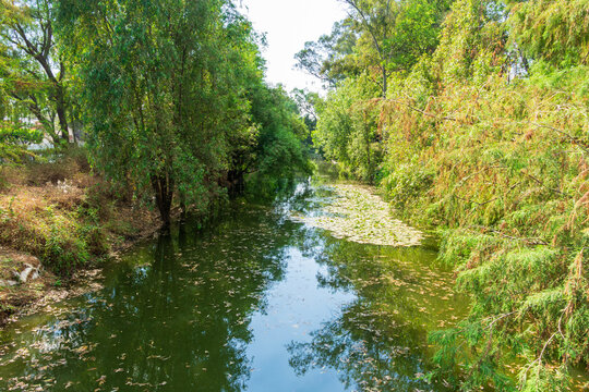 Canal Nacional, Parque Lineal Canal Nacional, Ciudad de Mexico, CDMX, Coyoacan, Iztapalapa, Xochimilco, Sur de la CDMX, Mexico, Parque corredor, &Aacute;rea Natural Protegida.