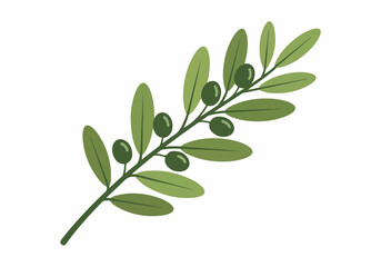 Obraz premium Olive branch illustration with green leaves and olives, symbolizing peace and nature's bounty, perfect for graphic design and natural themes