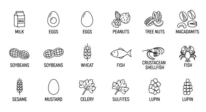 Common food allergens and ingredients list in simple line icons