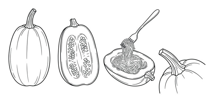 Spaghetti squash with fork inside half plus whole squash and stem isolated on transparent background