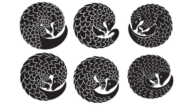 Vector illustration featuring six stylized pangolins curled into a defensive ball design.
