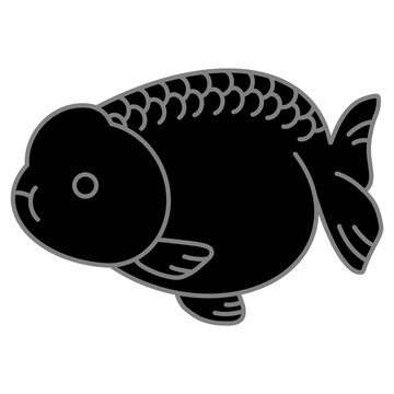 黒らんちゅうのイラスト