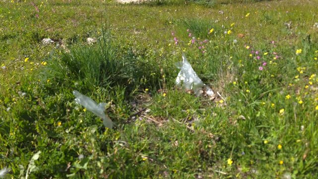Plastic in nature environmental impact and recycling awareness for the planet concepts