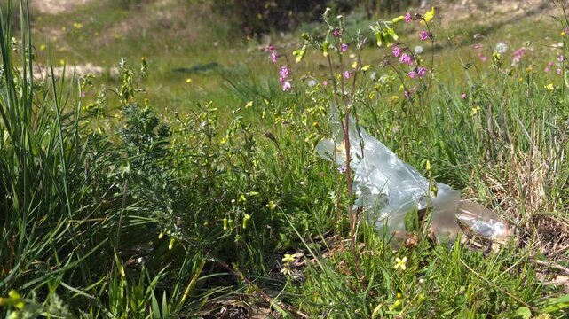 Global warming and climate change concept: Tail of littered plastic gloves in a natural area