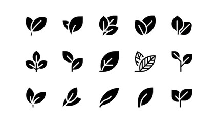 Fototapeta premium Diverse collection of stylized leaf designs showcasing various natural leaf shapes and forms in black and white contrast Vector