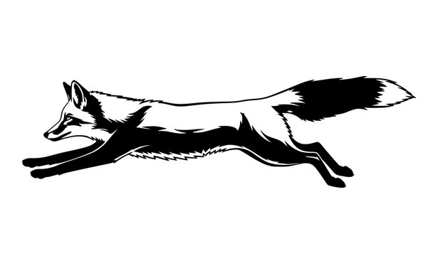 Running fox silhouette vector black and white dynamic wildlife animal illustration isolated