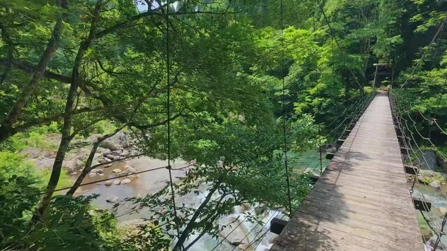 250711秋山郷見倉橋
