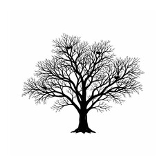 Fototapeta premium Leafless tree black outline with tree trunk