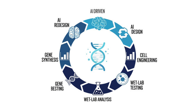 AI Driven Biotechnology Process Cycle Infographic with DNA Helix Cell Engineering and Wet Lab Analysis