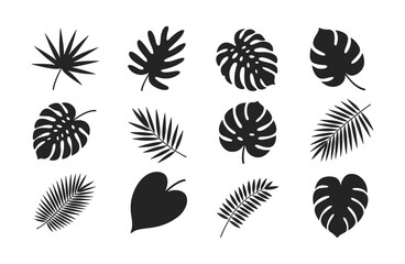 Set of twelve black silhouette tropical plant leaves including monstera palm and fern foliage isolated on a white background for botanical © SHUVO