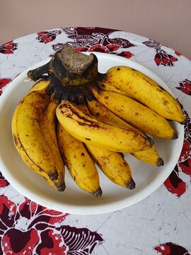 Pisang Raja Sereh (Musa paradisiaca L. var. sapientum), or known internationally as Latundan banana, apple banana, or silk banana.