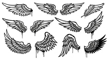 Fototapeta premium Urban Graffiti Wings and Feathers Vector Illustration Sheet in Black Ink Grunge Punk Street Art Style