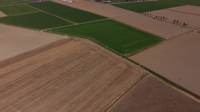 Agricultural Harmony: Aerial view captures patchwork of cultivated fields. different crops create a mesmerizing pattern of textures, lines, and hues, showcasing agricultural landscape