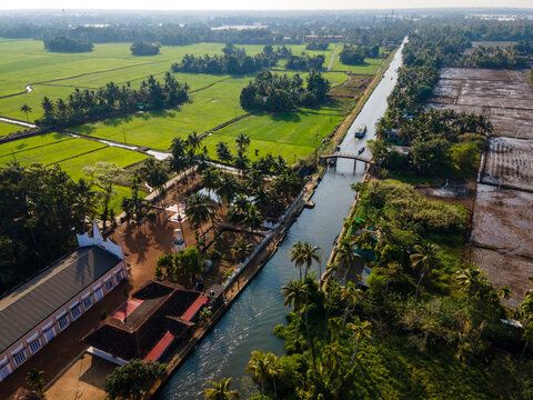 Alappuzha Agricultural Landscape Aerial View,drone shot of alleppy Green Fields Canal Network