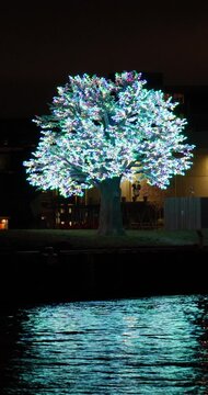 Illuminated Oslo Tree Sculpture Reflecting in Harbor Water at Night