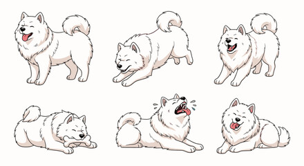 Obraz premium Samoyed dog in various playful poses on a clean white background 